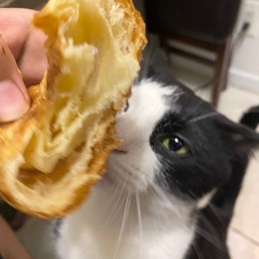 francisco-s-plays-games-youtube