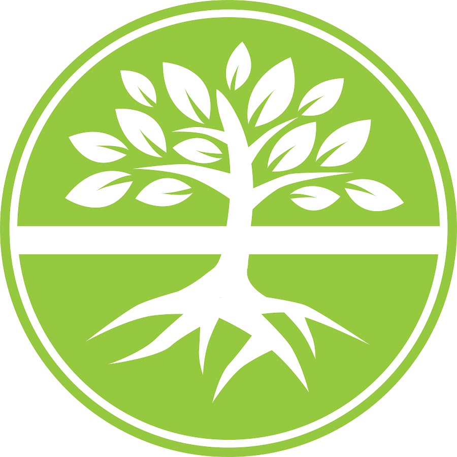 Emotionally Healthy Discipleship YouTube
