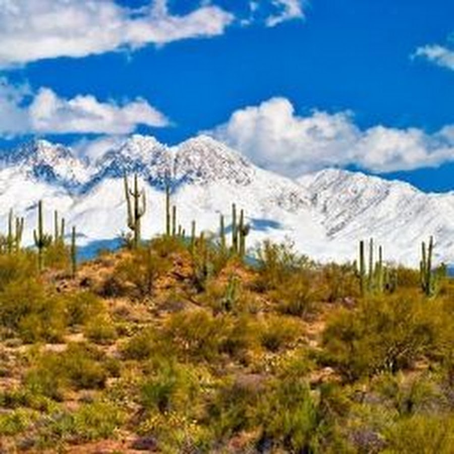 White Mountains Of Arizona YouTube