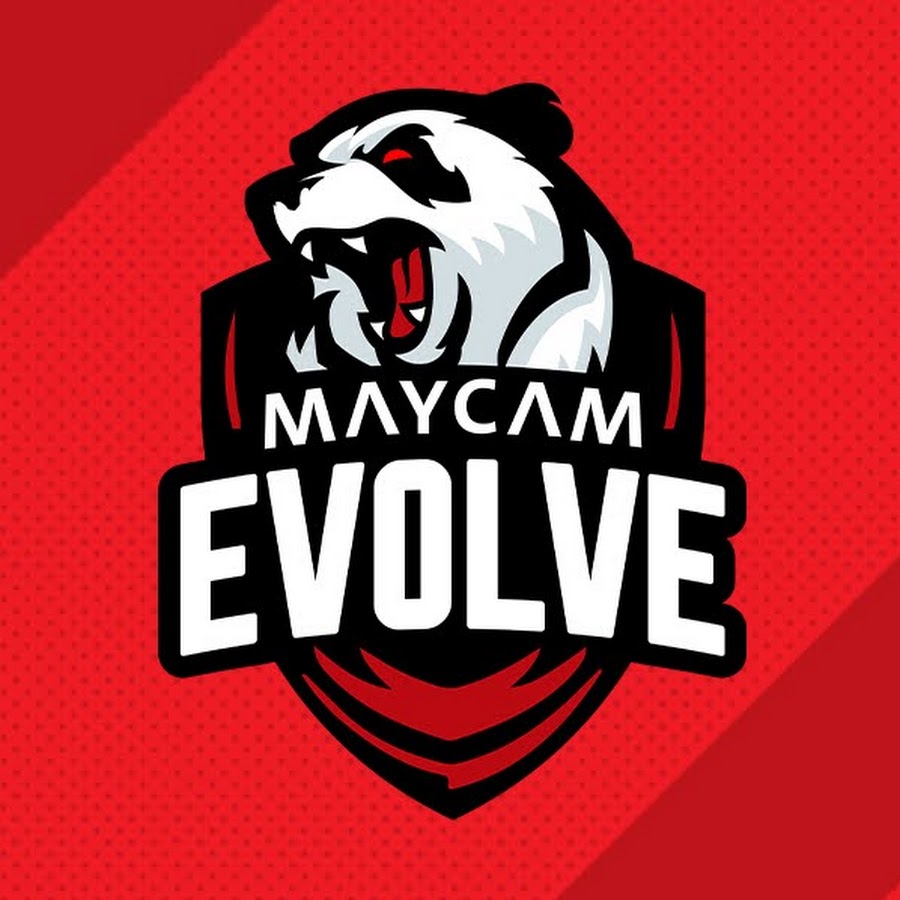 R gaming. Evolution Gaming logo White. Evolution Gaming PNG.