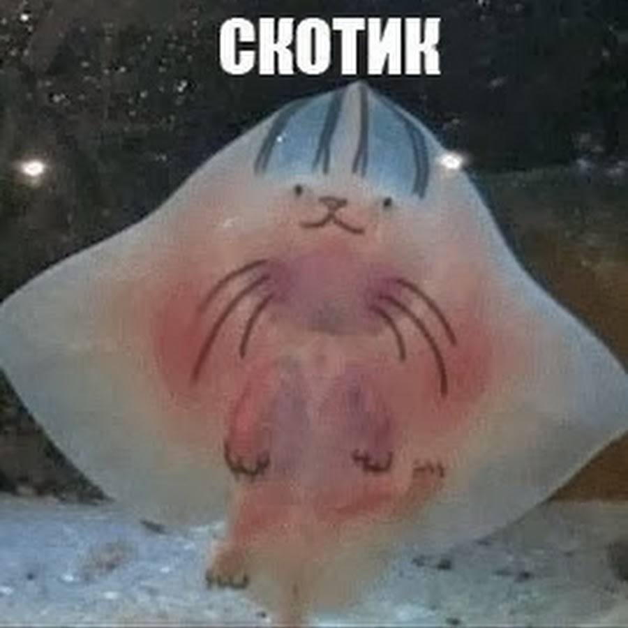 meme s quotes memes its memes laughing memes memes quotes funnie memes i meme tr