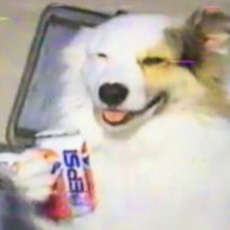 Pepsi Dog YouTube