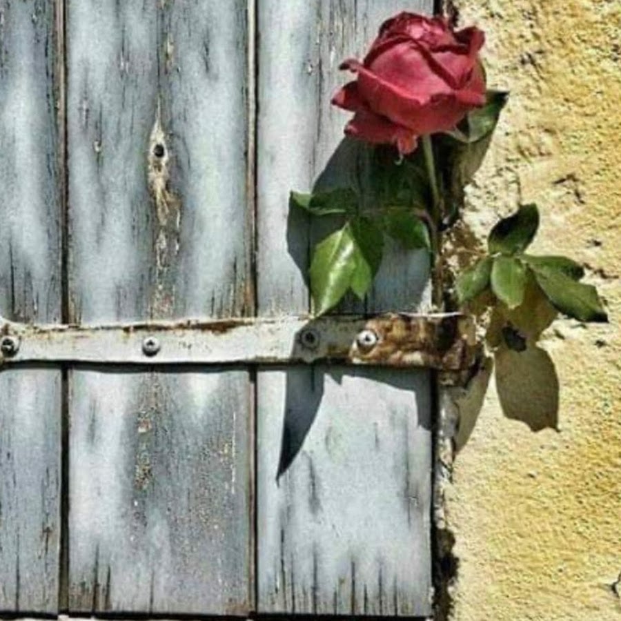 Задержавшись у дверей сестра еще раз помахала рукой