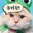 고양이 엄마tv