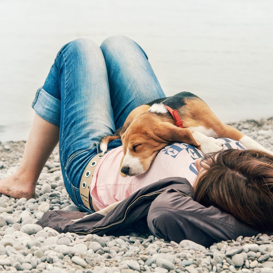 Baxter & Bella Puppy Training YouTube