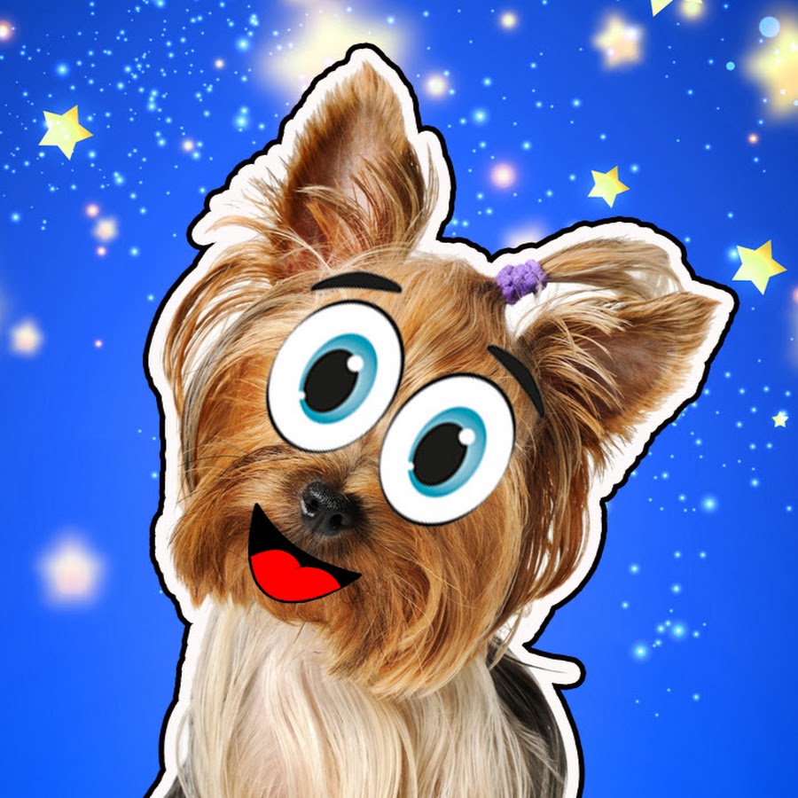 Кролик баффи а ну ка давайка. А ну ка давай ка пупся. А ну ка давайка кошка мурка. Кот малыш с канала а ну ка давай ка. Кот малыш анука давайка.