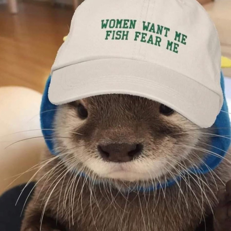 Spanish Brother - YouTube