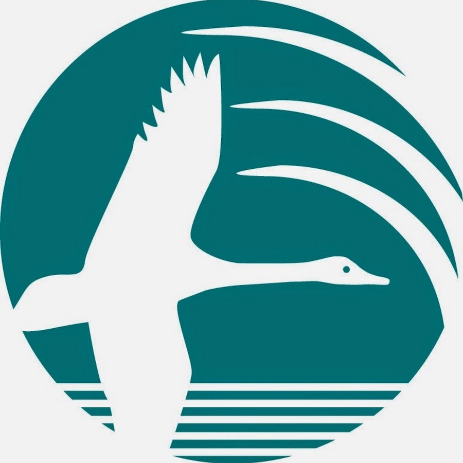 Yolo Basin Foundation 