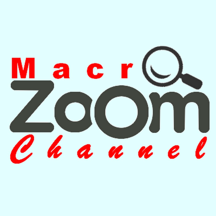 Macro Zoom Channel YouTube