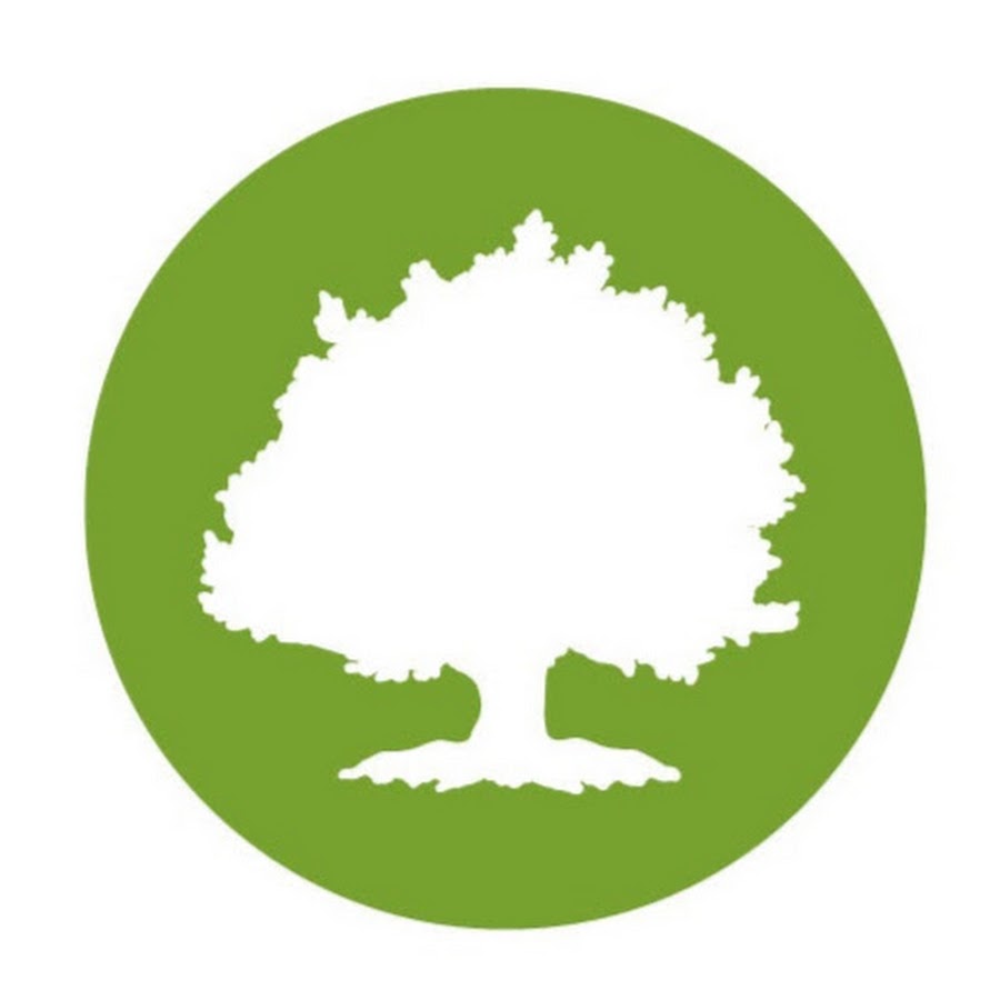 Oak Street Health YouTube