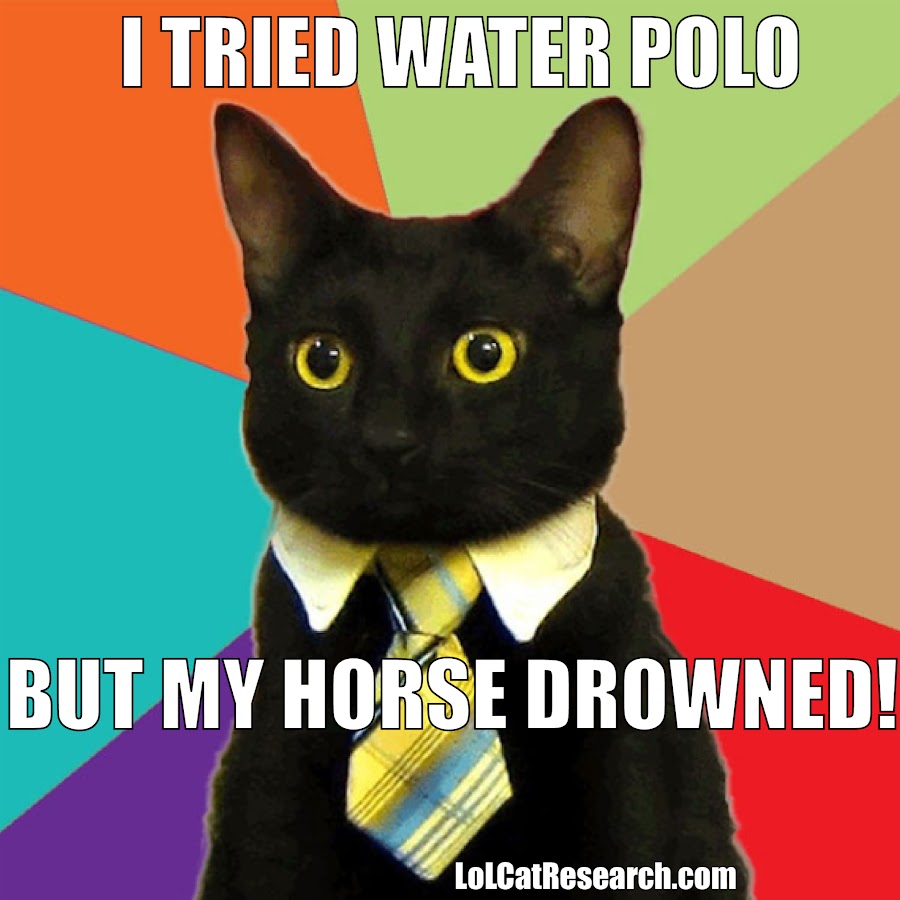 LoL Cat Research 