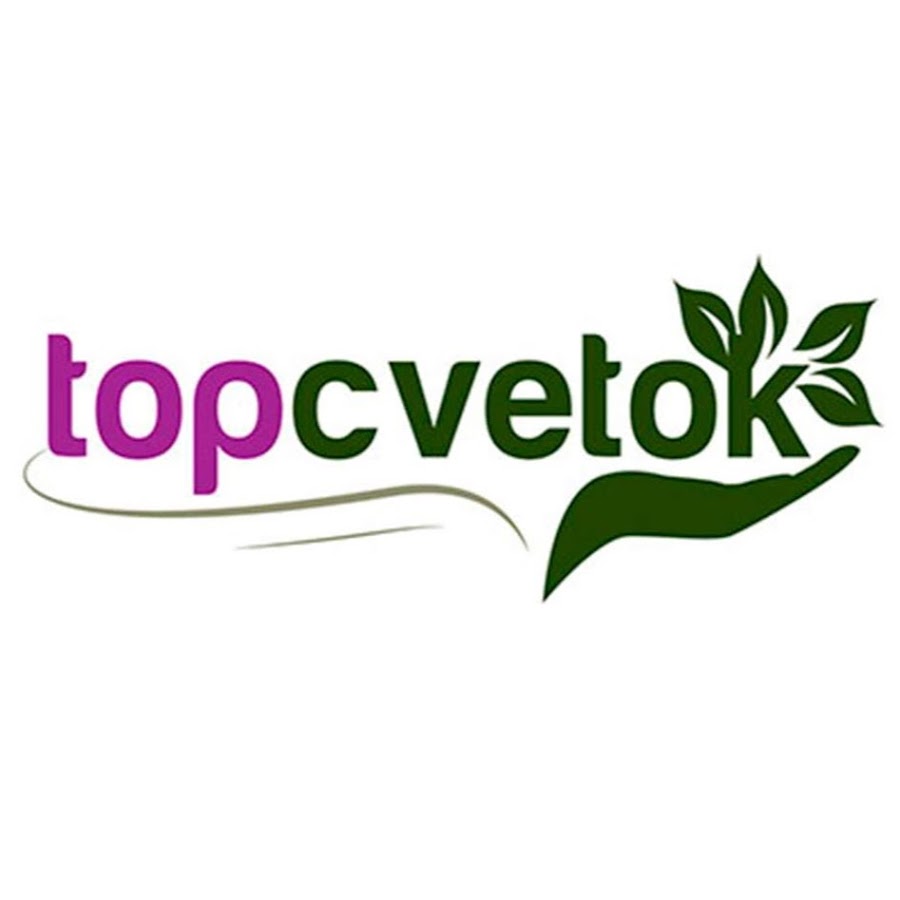 Topcvetok Ru Интернет Магазин Отзывы