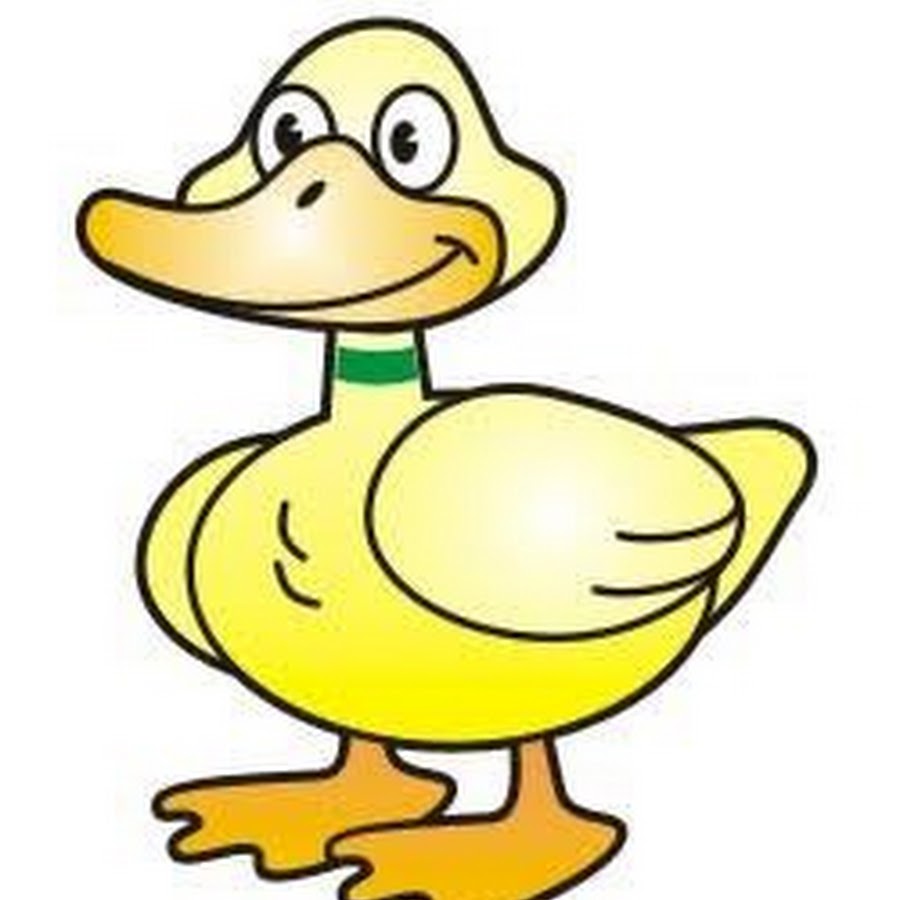 Quack Quack Goes the Duck YouTube