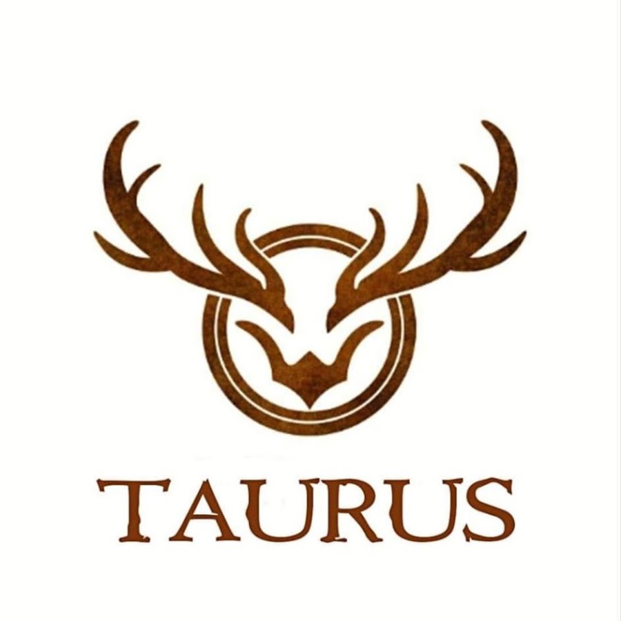 Магазин taurus. Магазин taurus