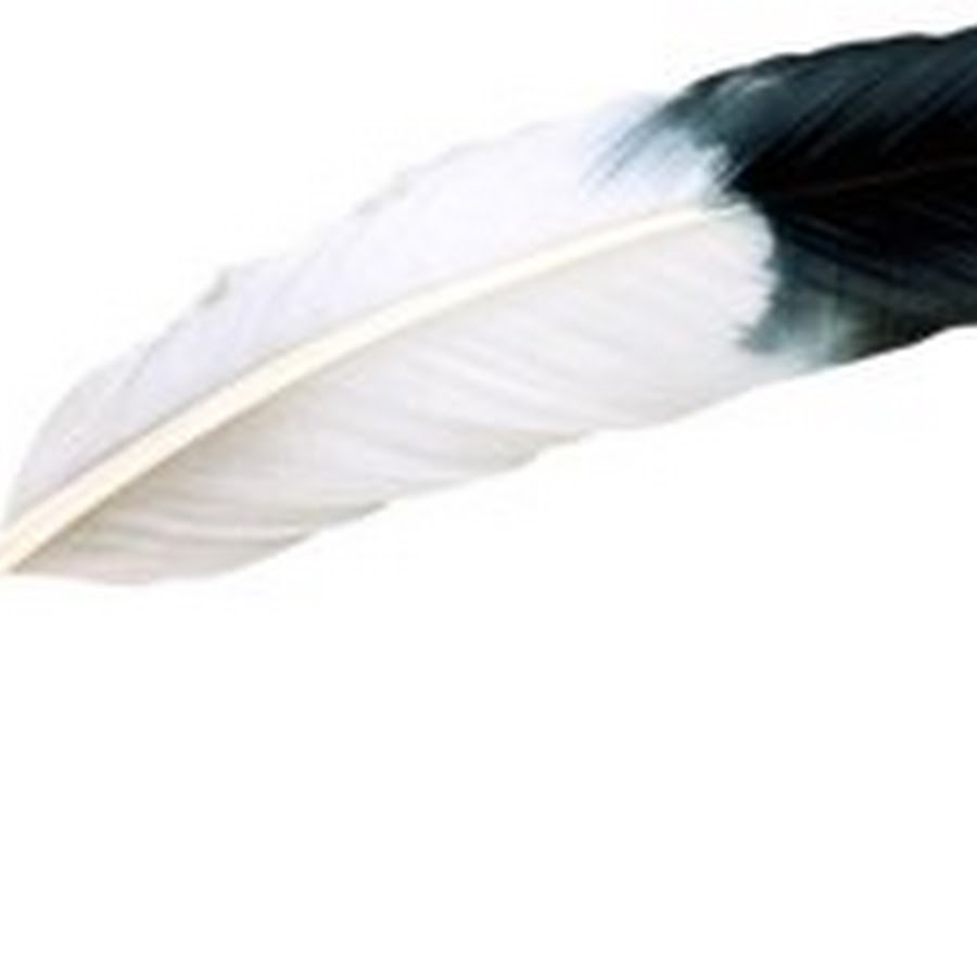 Перья текстура. Ангельские перья. Перья птиц. Вижу перо. Перья птиц.