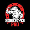 What could Horsepower PRO buy with $172.62 thousand?