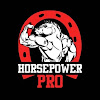 What could Horsepower PRO buy with $172.6 thousand?