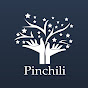 Como Importar de China By Pinchili