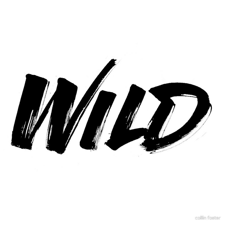 Дикая без слов. Дикий надпись. Слово Wild. Dikiy надпись. Логотип слово Wild.