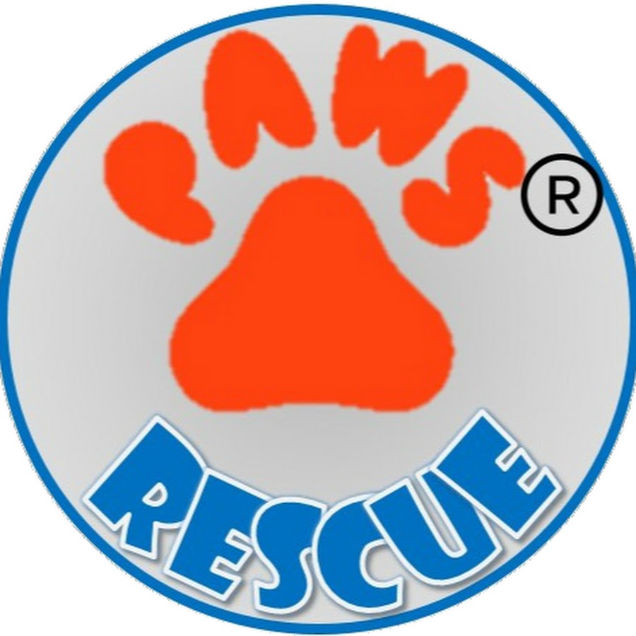 Paws Rescue YouTube