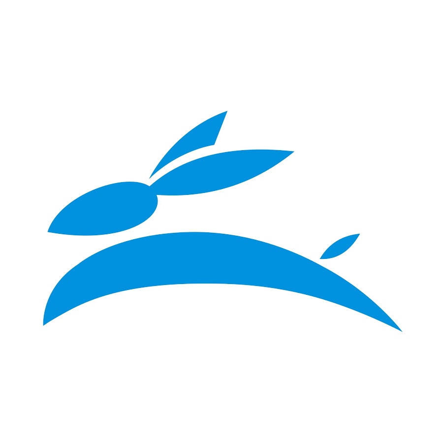 Rabbit Laser USA YouTube