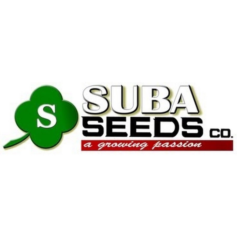 Euroseeds Магазин Семян