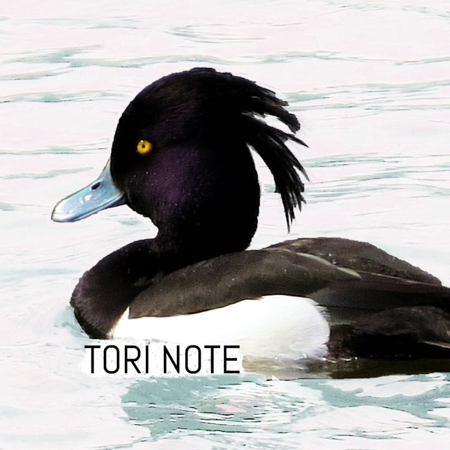 Tori Note 