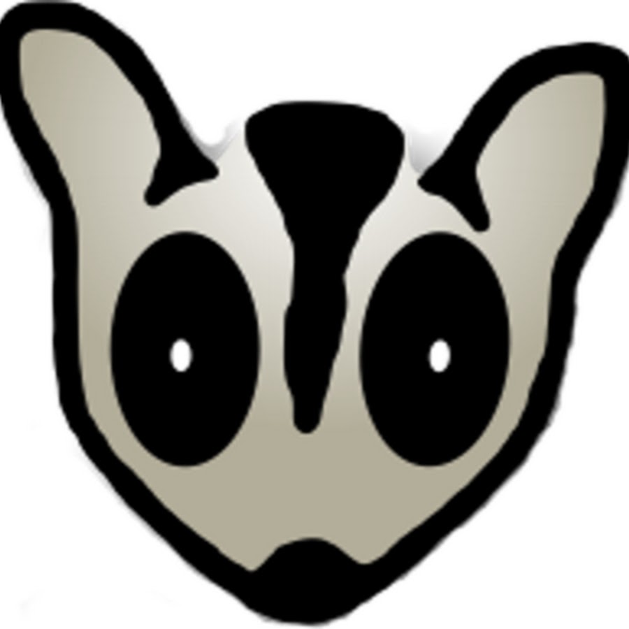 SunCoast Sugar Gliders - YouTube