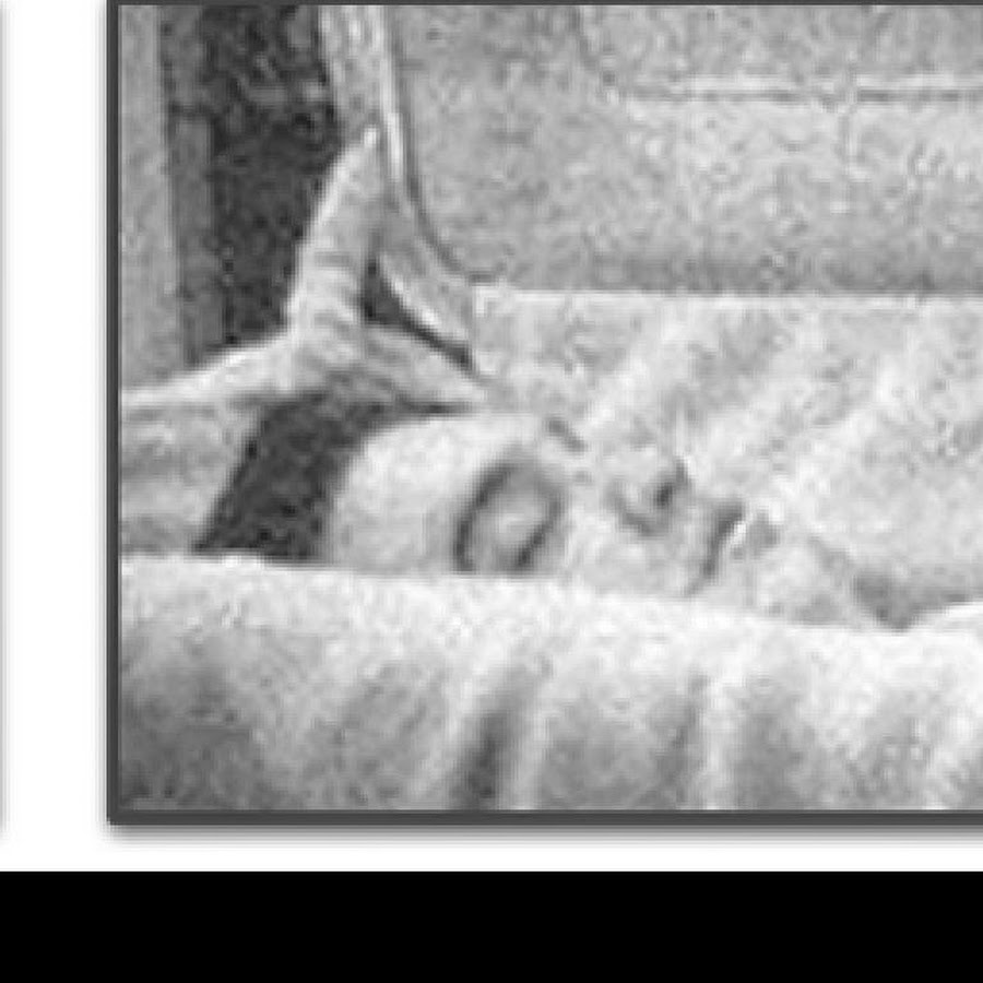 Elvis Still Alive You Decide YouTube