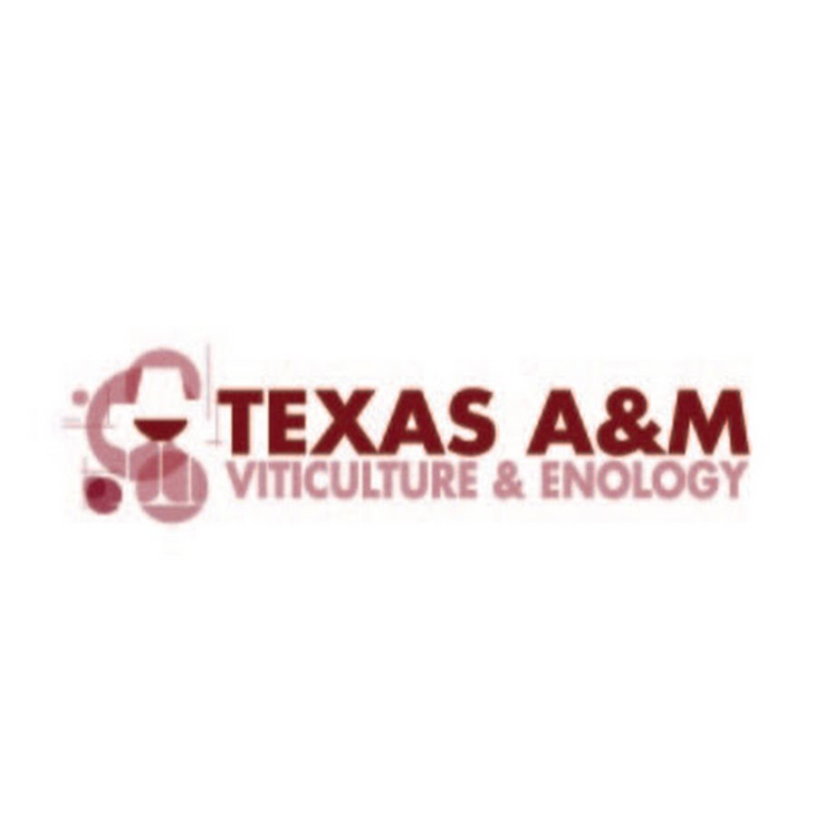 Texas Agrilife Extension Enology Texas A&M YouTube