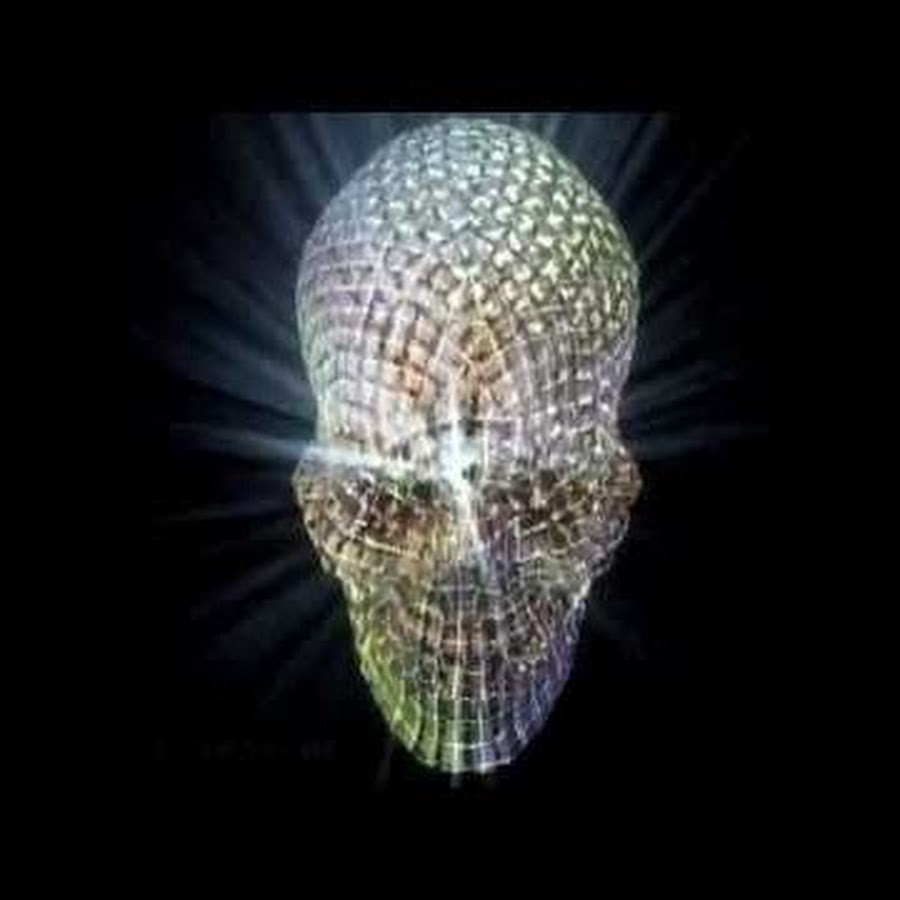 Dale Meier - YouTube