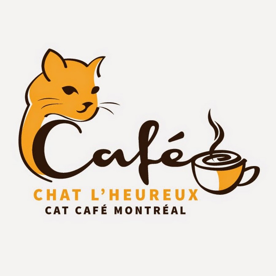 Caf Chat l heureux Montr al YouTube Caf Chat l heureux Montr al YouTube