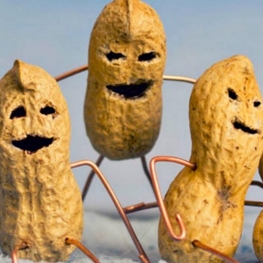 Peanut Gallery YouTube