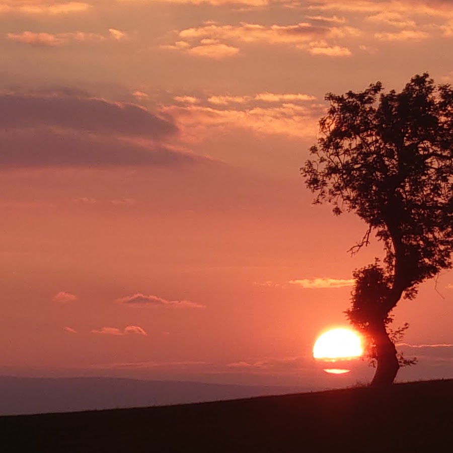 Что варили пикты. Воины Пикты. Пикты племя. Пикты народность.