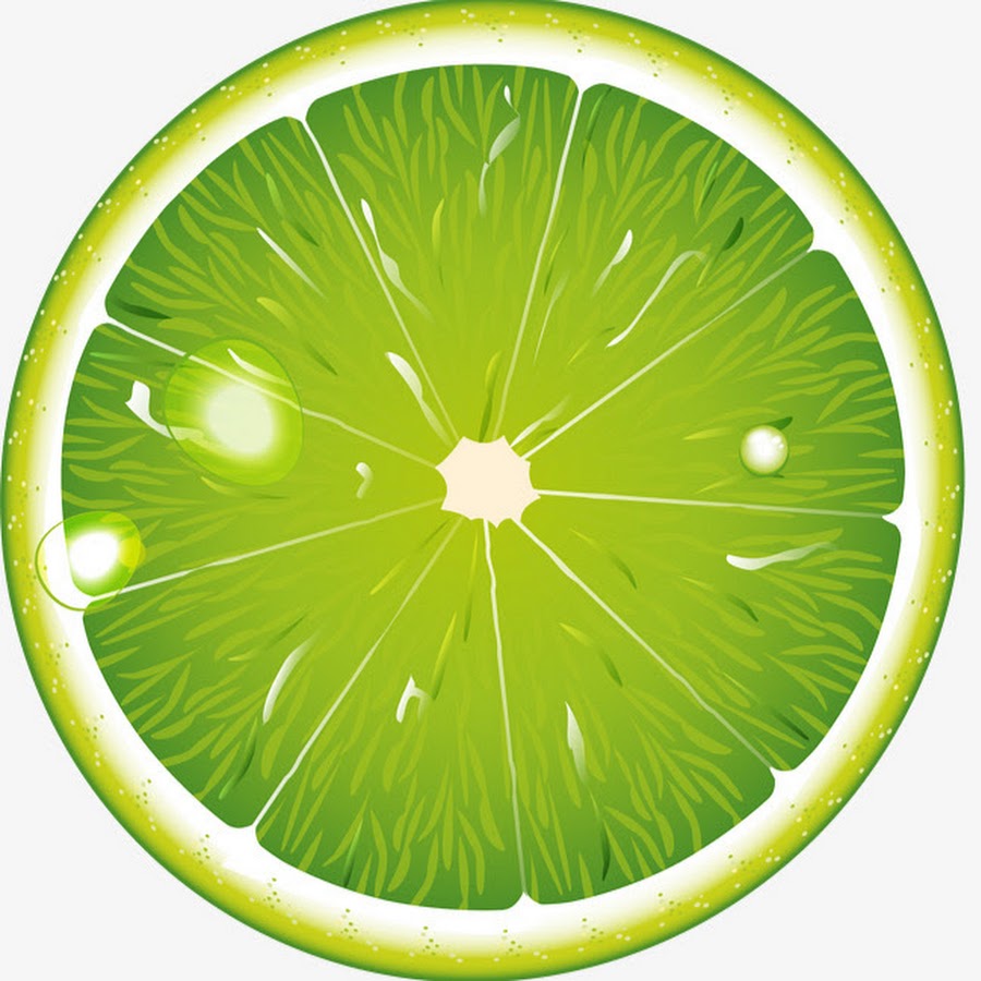 Рисунок лайм в разрезе