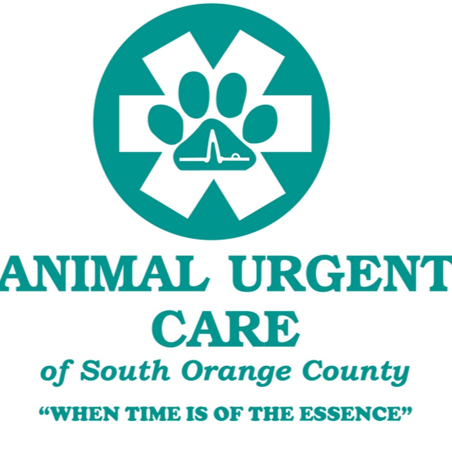 Animal Urgent Care of South Orange County YouTube