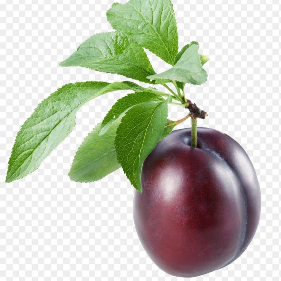 Бурен Флекс - YouTube