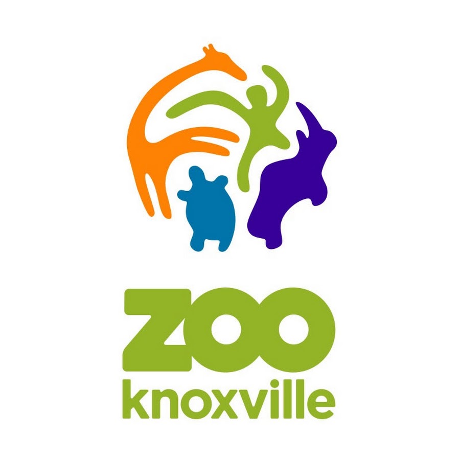 Zoo Knoxville YouTube