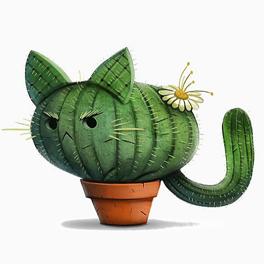 the cat cactus - YouTube