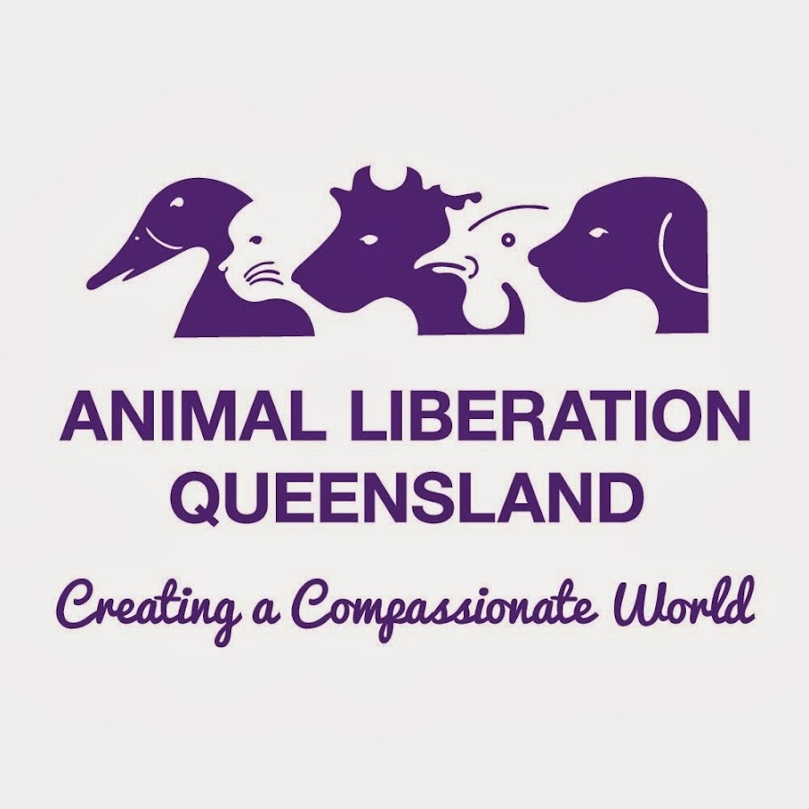 Animal Liberation Queensland - YouTube