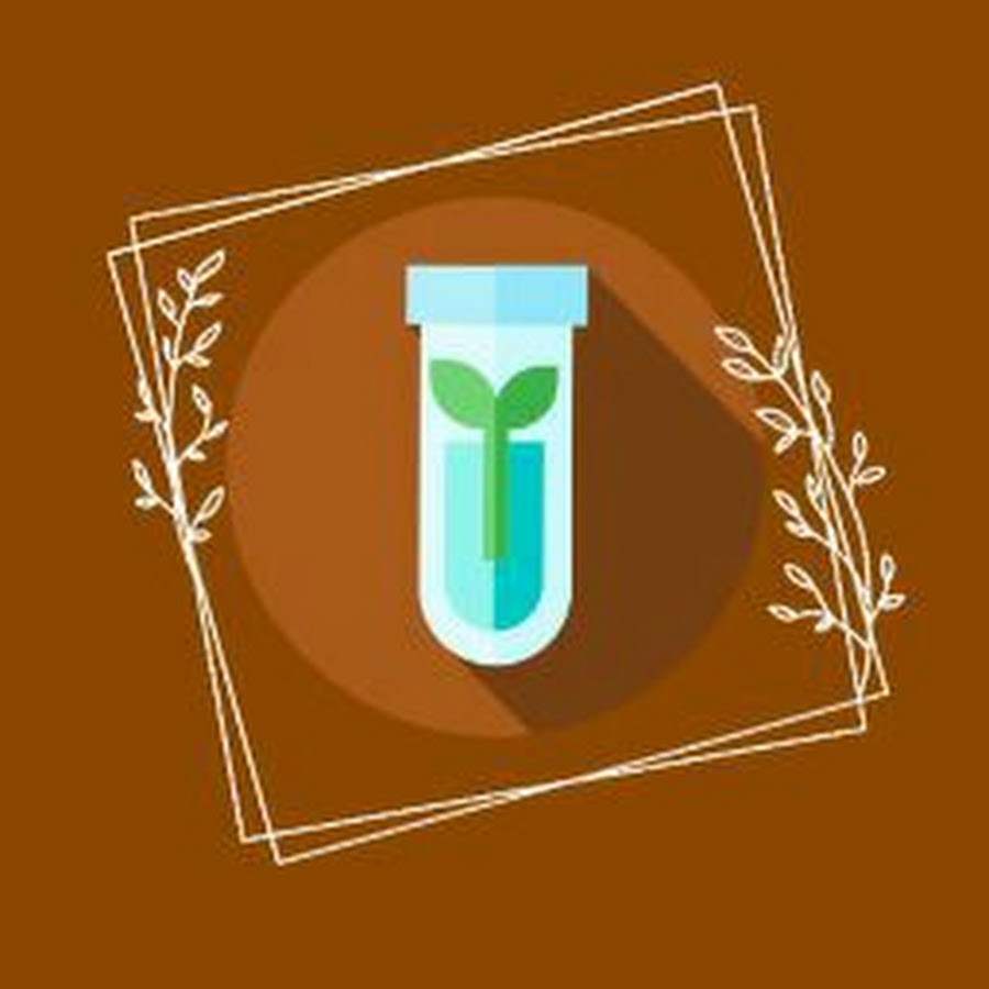 Study Botany YouTube