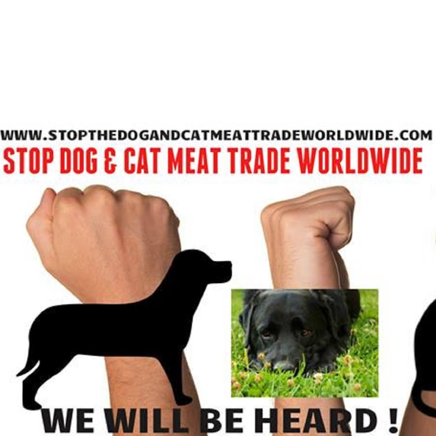 STOP THE DOG AND CAT MEAT TRADE WORLDWIDE YouTube