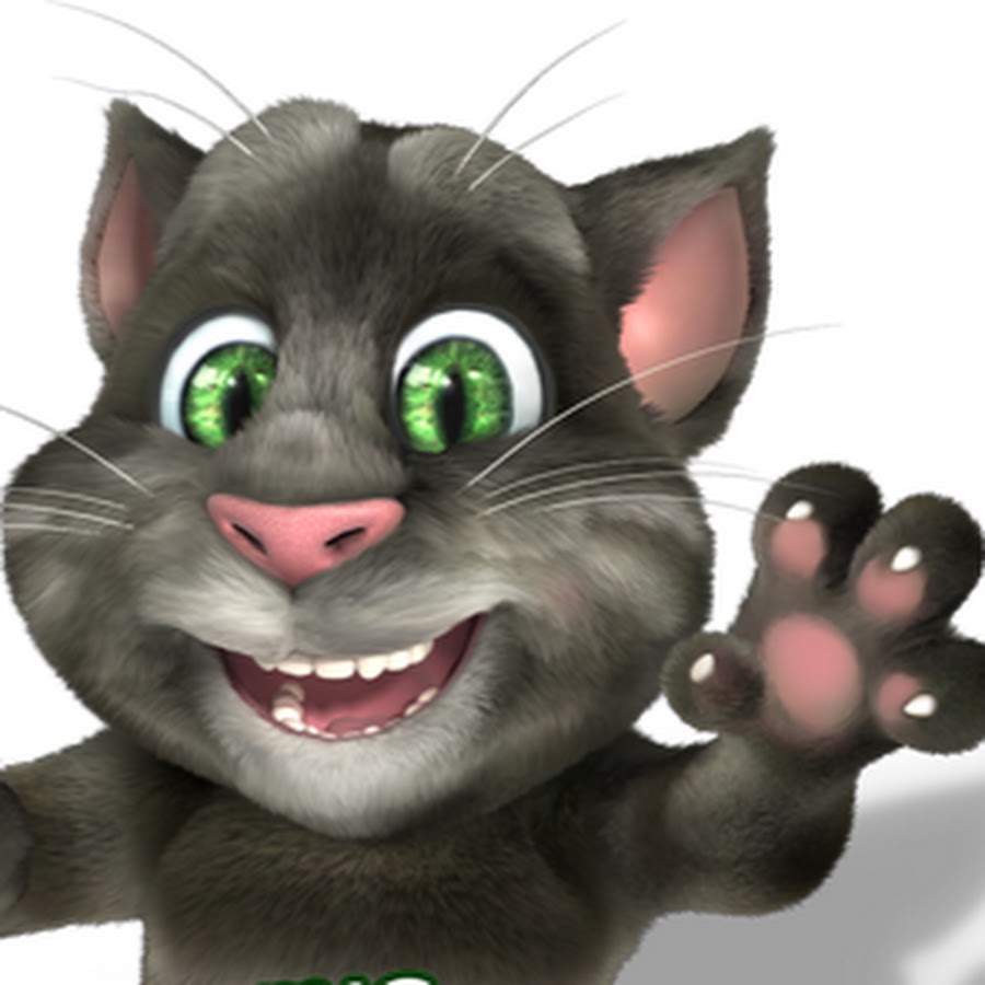 Игра tom cat. Talking tom 1. Игра talking tom friends джинджер. Мой говорящий том друзья. Talking tom.
