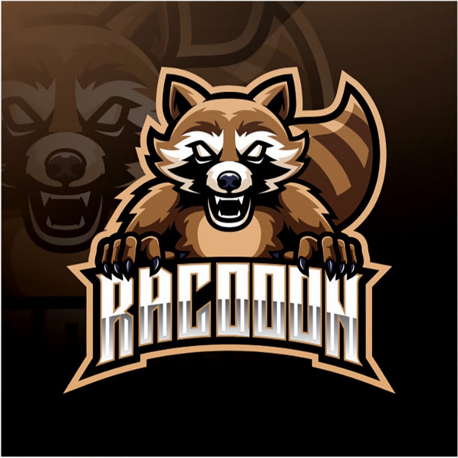 Racoon - YouTube