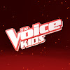 What could The Voice Kids Brasil buy with $1.46 million?