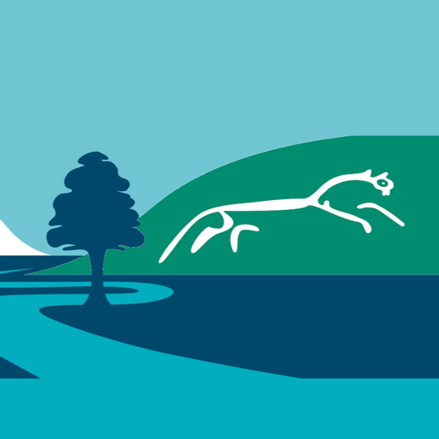 South and Vale district councils YouTube