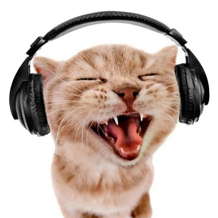 Hinata Hyuuga YouTube