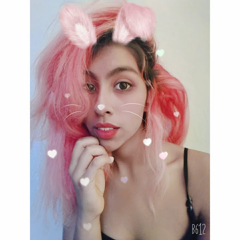 Profile Alexa Bayca Wizdeo Analytics