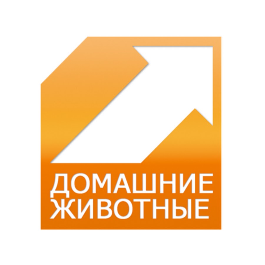 Телеканал Домашние Животные - YouTube