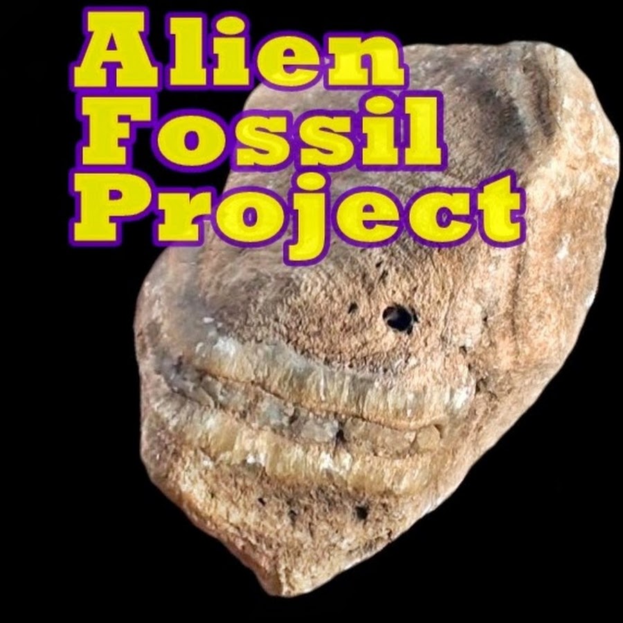 fossil project ideas